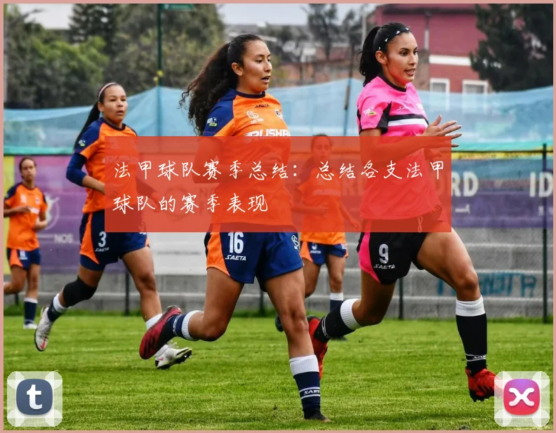 法甲球队赛季总结：总结各支法甲球队的赛季表现