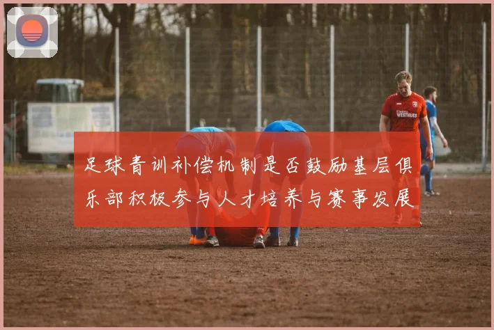 足球青训补偿机制是否鼓励基层俱乐部积极参与人才培养与赛事发展