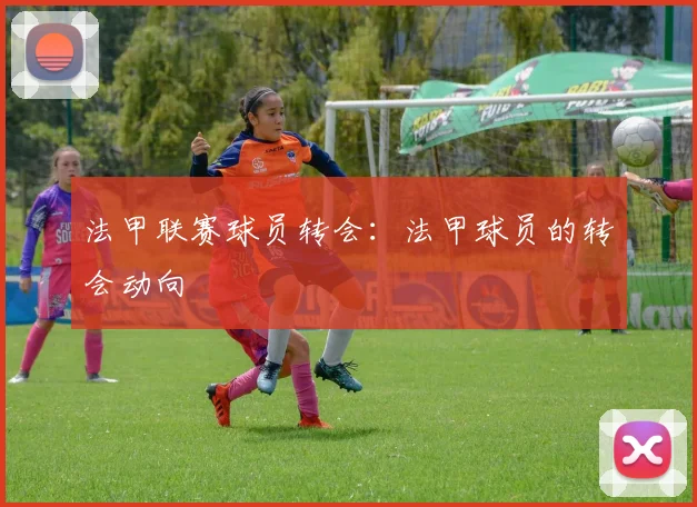 法甲联赛球员转会：法甲球员的转会动向